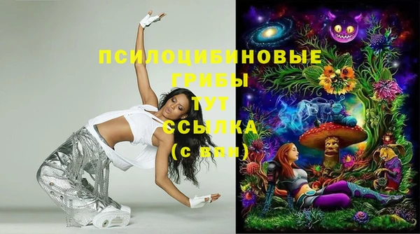 спиды Вязники