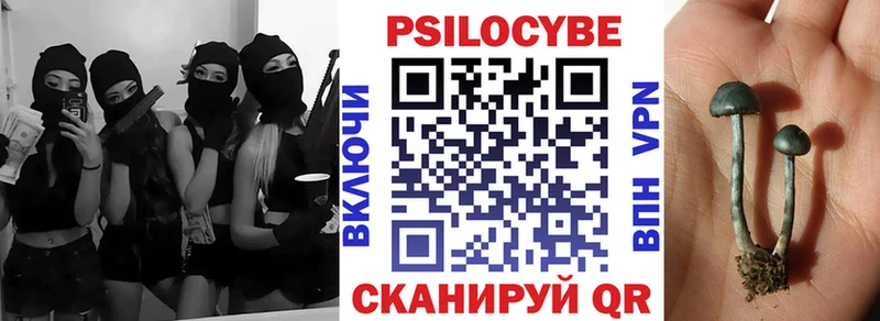 Галлюциногенные грибы мицелий  Купить закладки  Кимовск 